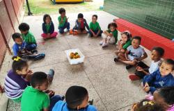 #paratodosverem: Grupo de 16 crianças sentadas em círculo em área externa da escola. No centro, há uma bandeja branca com frutas. Ao fundo, aparecem paredes verdes, um banco vermelho e uma casinha amarela no pátio. 