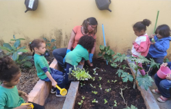 #paratodosverem: A imagem mostra um grupo de crianças pequenas participando de uma atividade de horta escolar. Elas estão acompanhadas por uma adulta, que orienta o plantio em um canteiro de terra. Algumas crianças seguram ferramentas de jardinagem e regadores, enquanto outras observam e ajudam a plantar mudas.