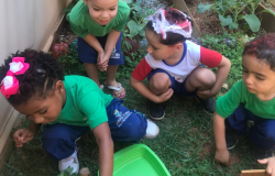 #paratodosverem: Quatro crianças pequenas observam e cuidam de uma horta escolar, ajoelhadas ao redor de canteiros com alfaces e outras plantas. Elas vestem uniformes verdes e azuis. Uma delas segura uma ferramenta fincada na terra de um vaso. 