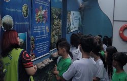 #paratodosverem: Um grupo de estudantes em uma sala observa painéis informativos sobre corais e a vida marinha. No lado esquerdo, uma monitora com colete neon conversa com as crianças, que vestem camisetas verdes e brancas. A cena transmite a curiosidade e o aprendizado durante a visita a uma exposição.