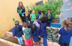 #paratodosverem: Uma professora de óculos, roupa e calça pretas e luvas azuis segura folhas de hortaliça enquanto orienta um grupo de 12 crianças pequenas ao seu redor. Diversos alunos também seguram folhas e observam a atividade. Ao fundo e nas laterais, há canteiros com plantas verdes e o pátio da escola. 