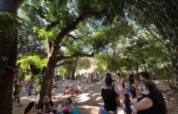 Ambiente em Foco Virtual: um chamado à ação em meio à emergência climática