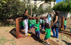 Abertas as inscrições para o Ambiente em Foco Virtual sobre a relação entre sustentabilidade e educação 