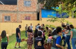 Plantio do projeto Escola Verde