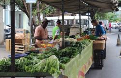 Prefeitura abre credenciamento permanente para feiras de alimentos em BH 