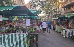 Feira da Economia Solidária será realizada em três regiões de BH nesta semana