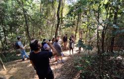 Grupo de visitantes participa de trilha em meio à vegetação, observando a natureza e a biodiversidade local. Um dos participantes utiliza binóculos para observar a fauna entre as árvores. 