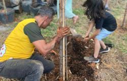 Celebrando os 125 anos de Belo Horizonte, PBH planta 125 novas árvores no Parque