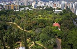 “Arborização no contexto do planejamento urbano” é tema do Ambiente em Foco