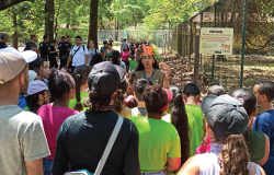 Fundação Zoobotânica de BH abre vagas para estagiários