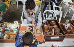 No Parque Municipal, uma educadora ambiental apresenta a uma criança materiais educativos sobre animais silvestres. Sobre a mesa, estão dispostos cartões ilustrados com animais, crânios, cascos e outros elementos naturais utilizados nas atividades de educação ambiental.