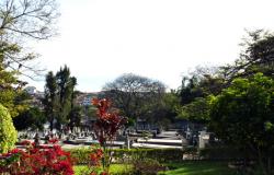 Túmulos e árvores em um dia de sol no Cemitério da Saudade.