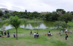 Parque com árvores, grama, lago e dezenas de pessoas realizando plantio e caminhando.
