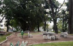 Árvores rodeiam calçamento e bancos e mesa de cimento; paisagem do Parque Rosinha Cadar, durante o dia. 