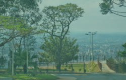 Vista da cidade de Belo Horizonte, com muitos prédios, a partir das árvores e caminhos do Mirante das Mangabeiras, durante o dia. 