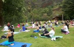 Mais e 15 pessoas praticam yoga em parque municipal. Foto ilustrativa. 
