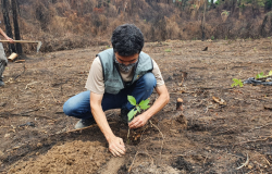 Equipe da PBH plantando árvore