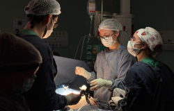 A foto mostra equipe médica composta por quatro profissionais realizando uma cirurgia em um paciente.