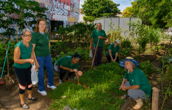 Horta comunitária no CRPI Norte está com vagas abertas para voluntários