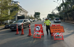 PBH faz operação para a supressão de árvore de grande porte