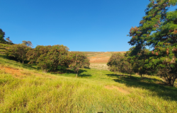 Prazo para opinar sobre infraestrutura de novo parque no bairro Califórnia é prorrogado 
