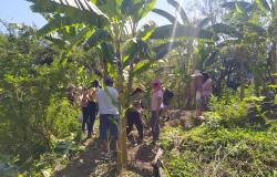 Prefeitura abre inscrições para o curso de agroecologia 2026 