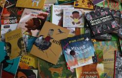 Webinário prepara educadores para o aproveitamento do Kit de Literatura Afro-indígena