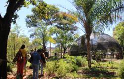Curso Trilhas da Agroecologia tem inscrições abertas nesta quinta-feira (18)