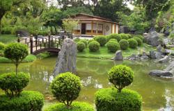 Jardim Japonês de BH oferece atividade com degustação de chás neste sábado (27)