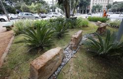 PBH entrega os dois primeiros jardins de chuva do Hipercentro da capital