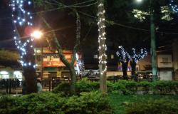 Quatro árvores da Praça Nilo Peçanha com luzes de Natal, durante a noite.
