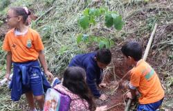 Quatro crianças de escolas municipais de Belo Horizonte plantam uma muda de árvore, durante o dia. 