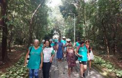CEA Venda Nova reúne grupos de Lian Gong para passeio ecológico