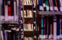 Seminário BEAGALÊ chega a 15ª edição e discute desafios das práticas de leitura na era digital