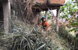 Mutirão de limpeza é iniciado em vilas de Venda Nova