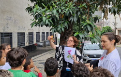 Inventário Afetivo das Árvores aproxima estudantes da natureza com o mapeamento da vegetação urbana