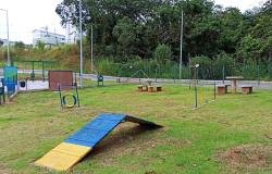 Prefeitura de BH entrega na Praça JK o 11º espaço público para recreação de cães