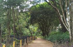 Parque Ursulina oferece trilha guiada a visitantes neste sábado (14)