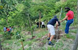 - Parceria entre PBH e Arquidiocese garante plantio de mudas e educação ambiental