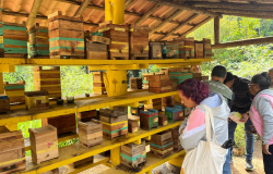 Visita técnica a meliponário, com caixas de criação de abelhas sem ferrão instaladas em estrutura de madeira, durante atividade de educação e preservação ambiental.