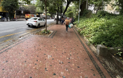 Foto da Praça Marília de Dirceu. Calçada de ladrilhos marrons e pretos, com canteiros de plantas na lateral direita e uma rua com um carro branco estacionado na lateral esquerda. 