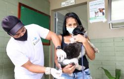 Imagem de um cachorro tomando vacina antirrábico e um Centro de Saúde de Belo Horizonte