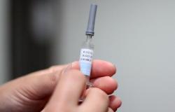 Foto com foco nas mãos de uma pessoa que segura uma ampola de vacina