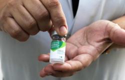 Parceria da PBH com redes de drogarias amplia locais de vacinação contra a gripe