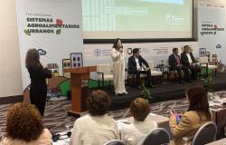BH apresenta experiências em sistemas alimentares urbanos em evento internacional 