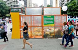 Na Praça Sete de Setembro, um grande recipente laranja com grade escrito "Lixômetro" armazena sacos com o lixo recolhido na região. Pessoas transitam ao lado do lixômetro.