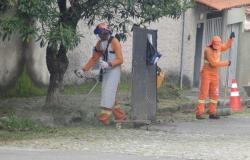 Garis capinam mais de 3 mil quilômetros por mês de sarjetas em Belo Horizonte