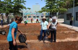 Cerca de dez pessoas idosas cuidando de horta comunitária em Centro de Referência da Pessoa Idosa