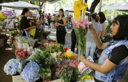 Mulher jovem escolhe flores em meio a mesa com várias opções, ao fundo, outros cidadãos também vêem flores, em local aberto, durante o dia.