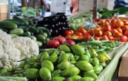Imagem de verduras, como jiló e pepino